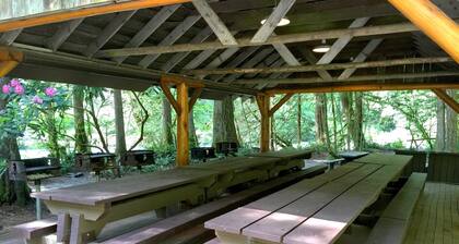 59SW - Fireplace - Dishwasher - Washer/Dryer - Sleeps 6