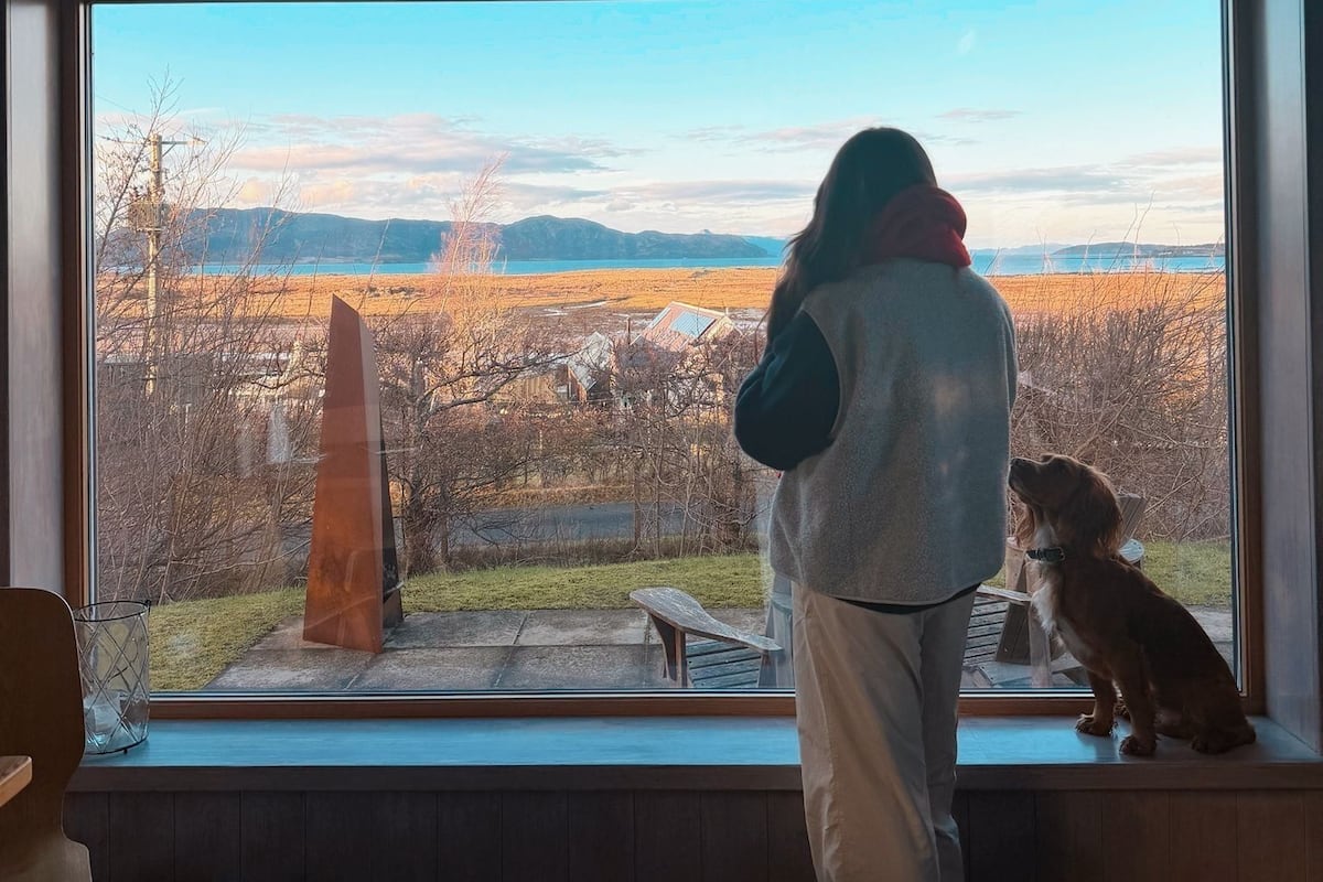 الإطلالة من المنشأة