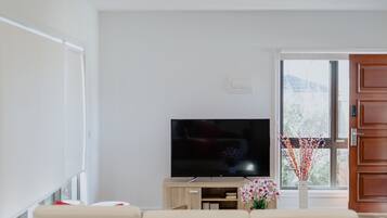 Flat-screen TV