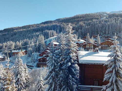 T3 duplex ski-in/ski-out, 9 ppl, parking