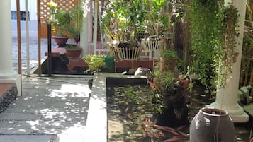 Jardines del alojamiento