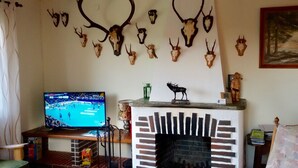 A living room with a fireplace, mounted animal skulls, a television, and a small statue on the mantel.