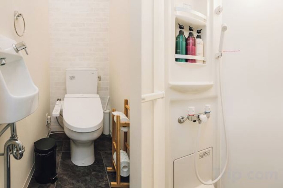Shower, free toiletries, hair dryer, slippers