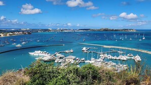 A marina with numerous boats docked, surrounded by clear blue water and a coastal town in the background.