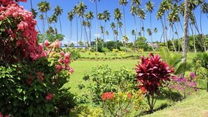 A lush garden with tall palm trees and vibrant flowering plants.