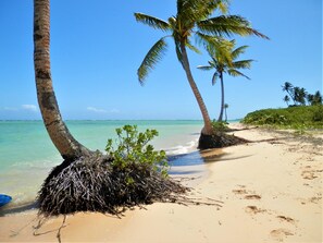 En la playa, camastros y toallas de playa 