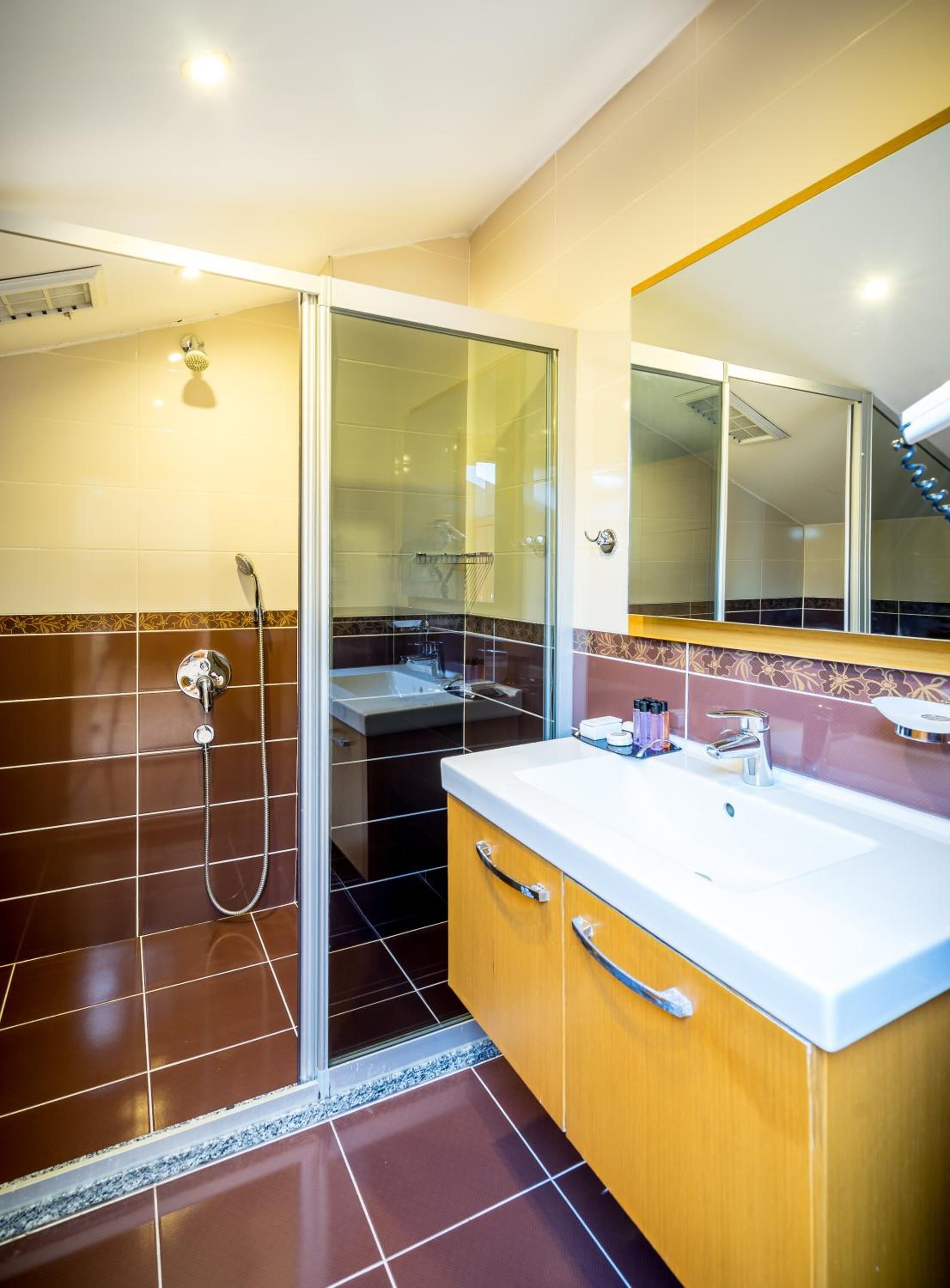 shower, free toiletries, hair dryer, slippers