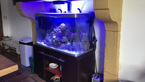 A large aquarium with a filtration system, placed in a corner of a room with a brick floor and a white wall. - Chambres Bambou & Corail & Music (Saint Sever)