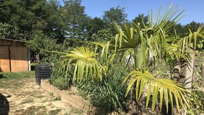 A garden with various plants and a wooden fence. - Chambres Bambou & Corail & Music (Saint Sever)