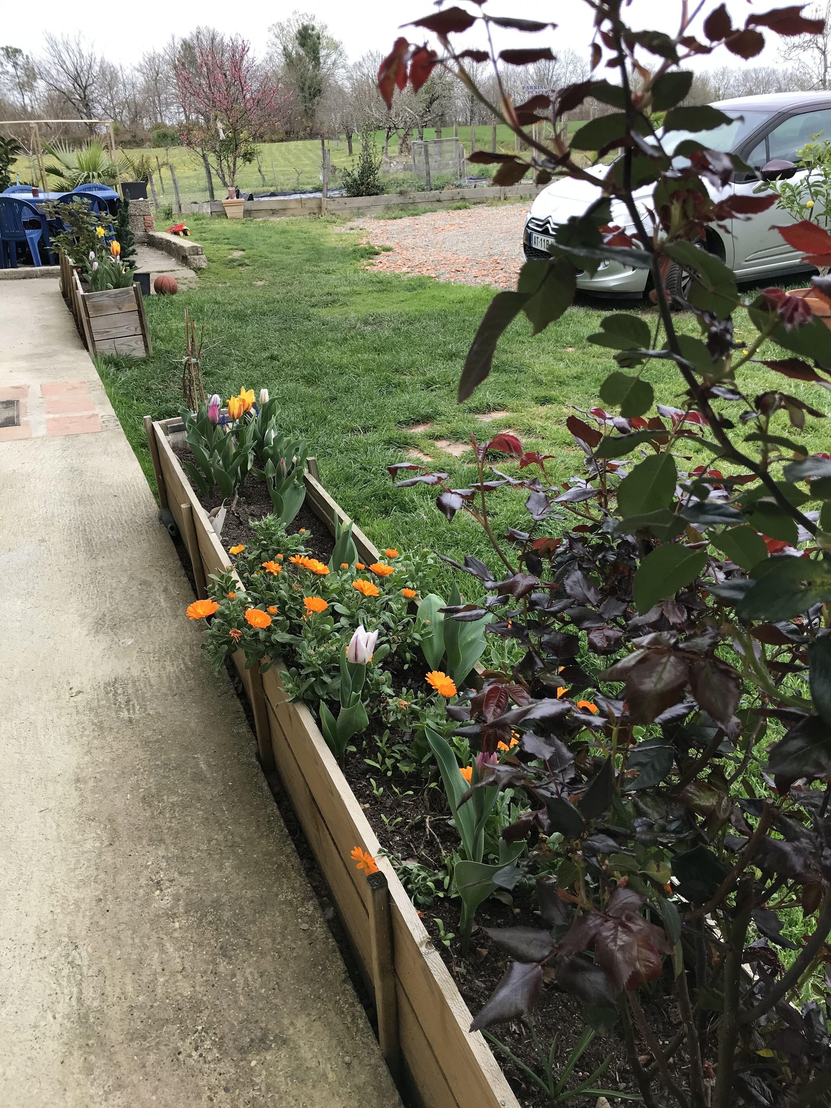 Un jardín con parterres elevados de flores y un camino empedrado.