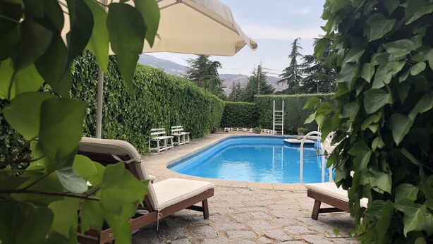 A pool area with lounge chairs, a white umbrella, and a hedge in the background.