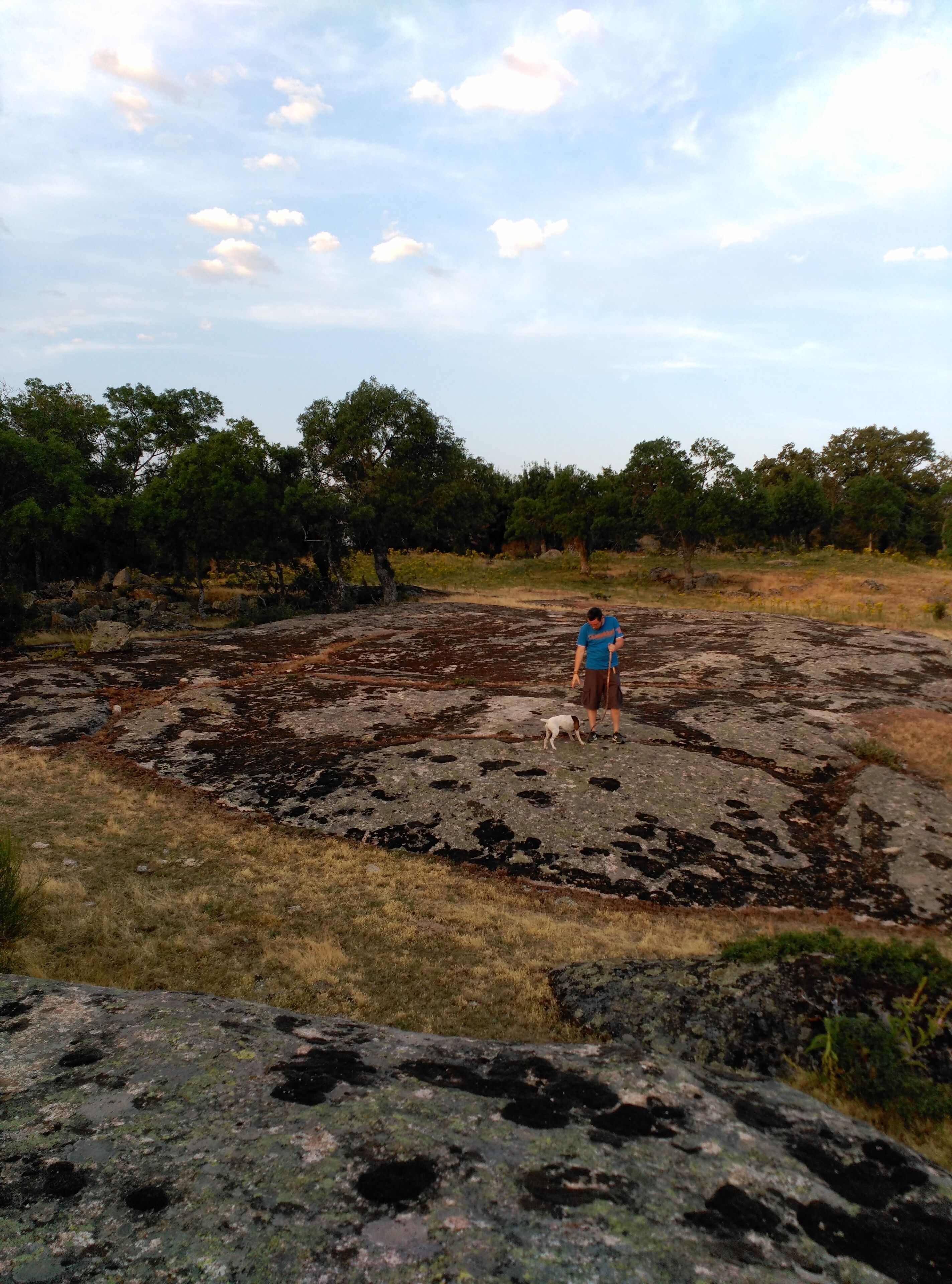 A person in a blue shirt and brown shorts walking a dog on a rocky terrain with sparse vegetation and trees in the background.