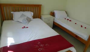 Twin Room | Desk, iron/ironing board, bed sheets