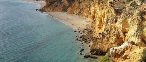 在海滩、沙滩毛巾