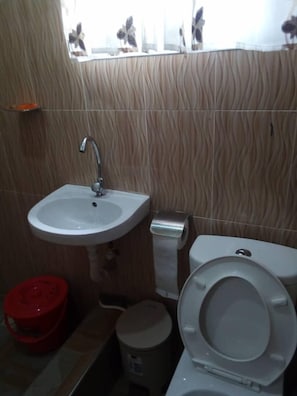Doppelzimmer | Badezimmer | Dusche, Handtücher, Toilettenpapier