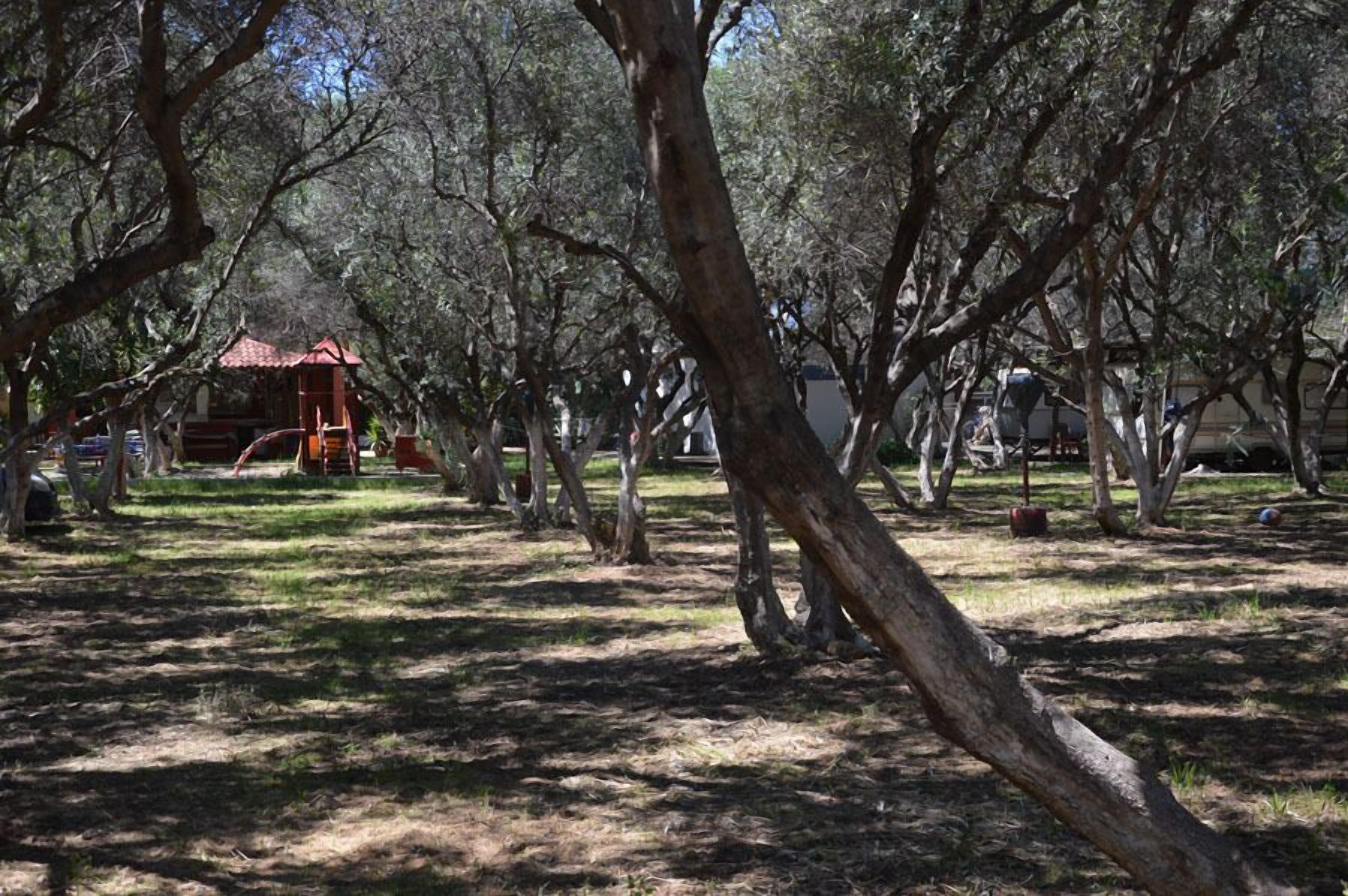 Foto - Camping Chania