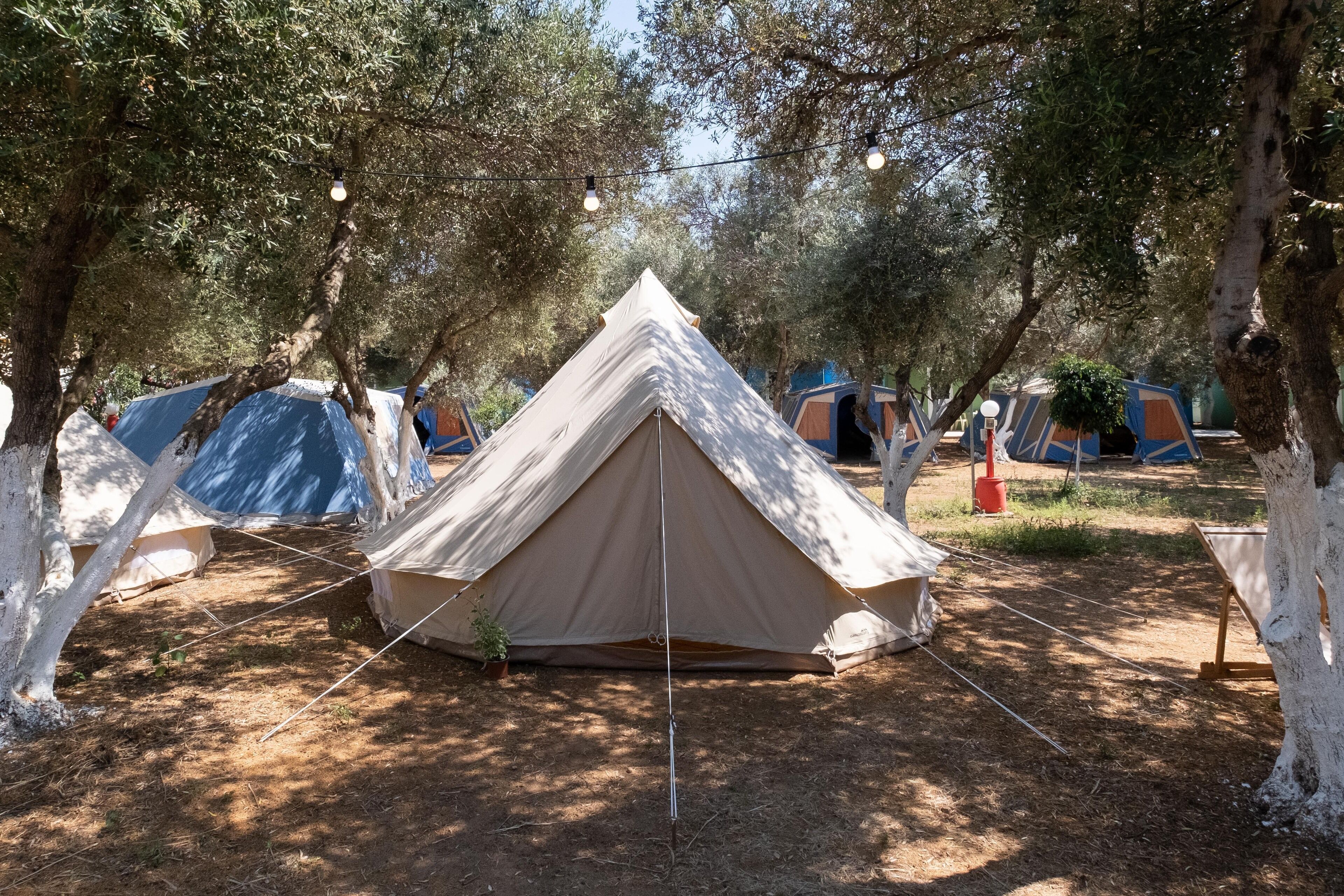 A campsite with multiple tents, including a prominent beige tent in the center, surrounded by trees and string lights.