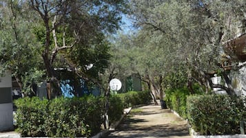 Jardin