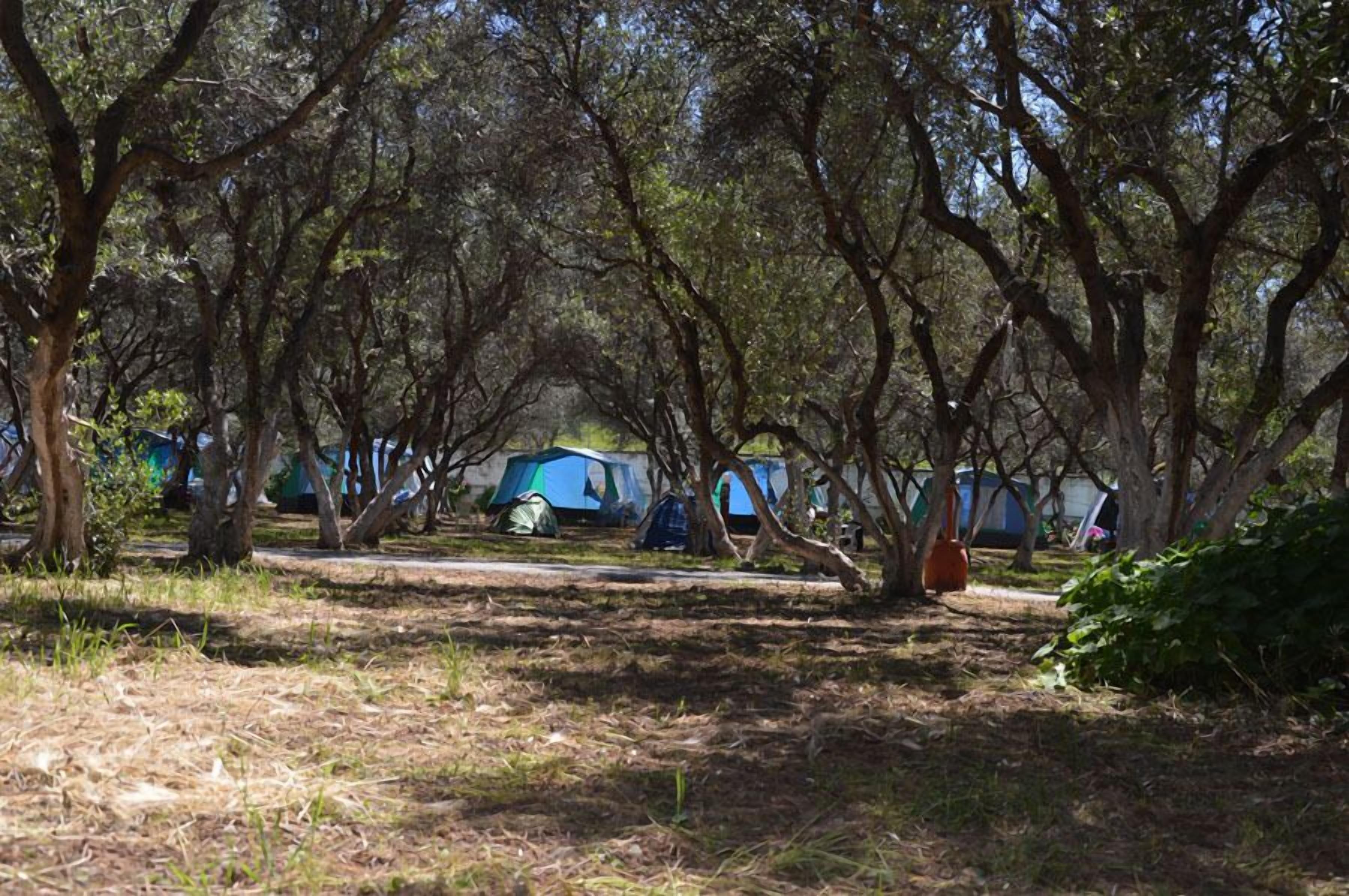 Foto - Camping Chania
