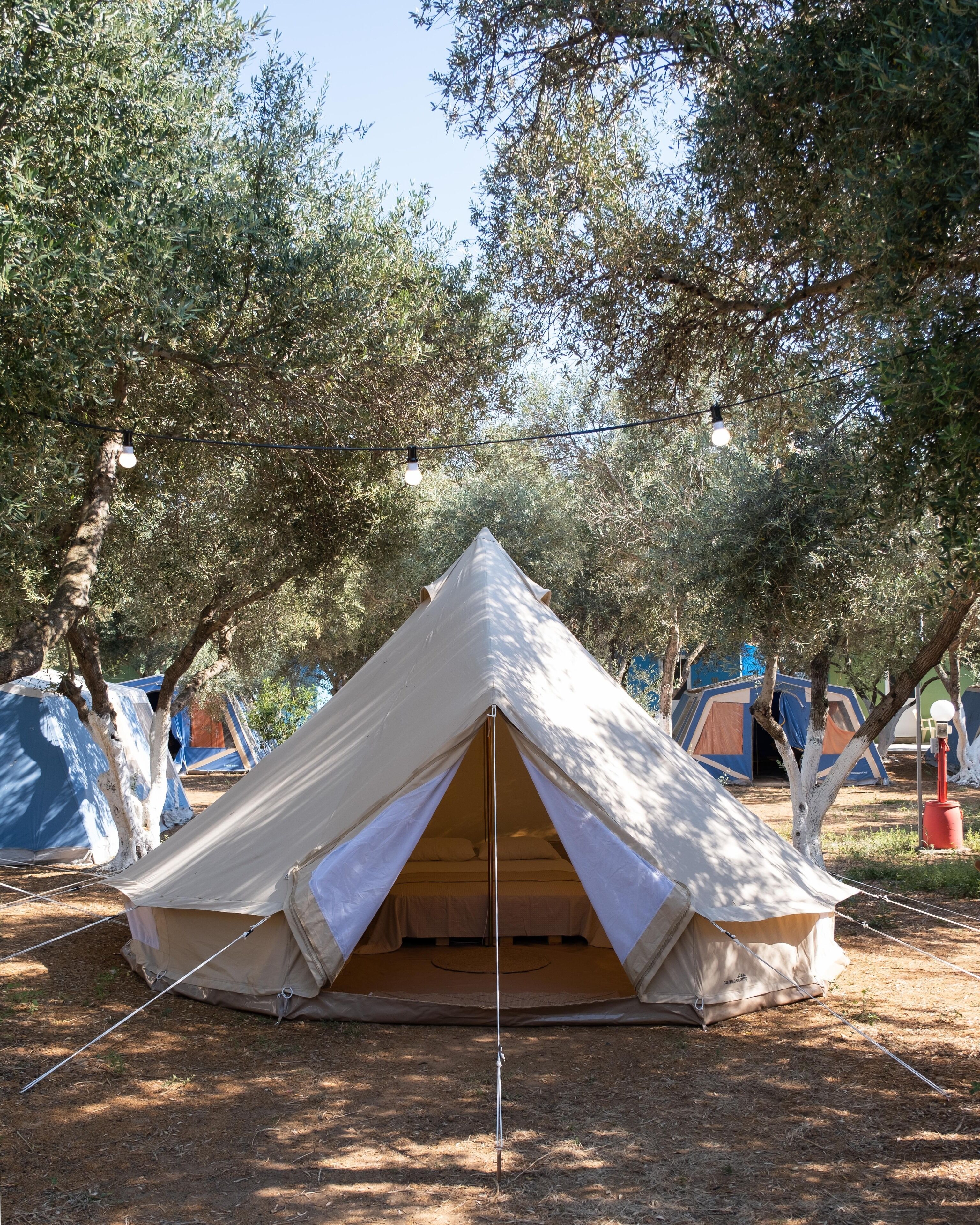 A single tent with a central pole and a ground tarp, surrounded by trees and other tents in a campsite.