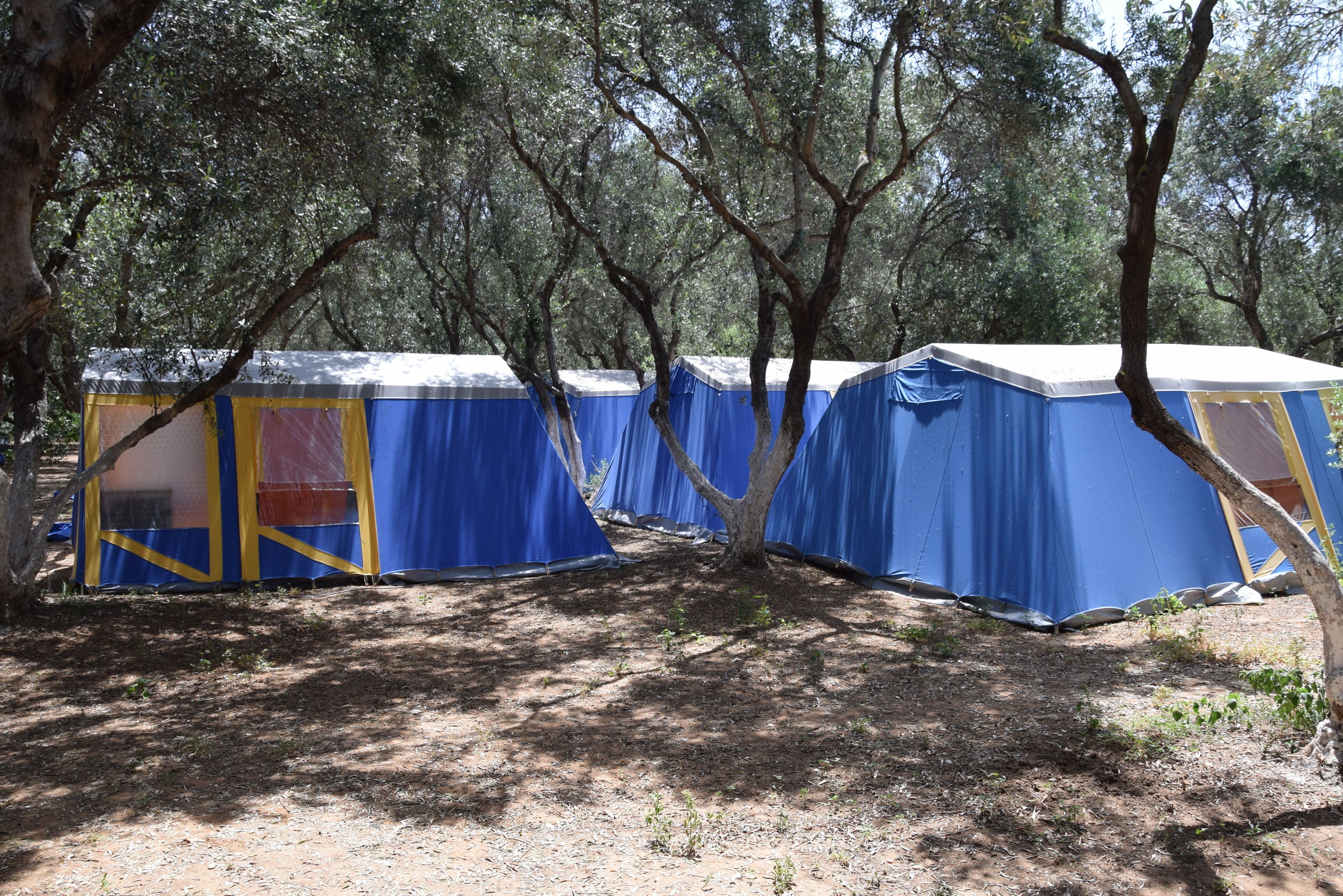 A row of blue tents with yellow accents, set in a wooded area with trees providing shade.