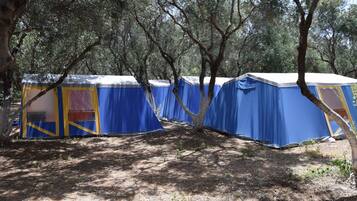 A row of blue tents with yellow accents, set in a wooded area with trees providing shade.
