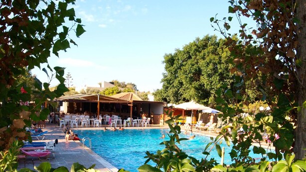 Un área de piscina con sillas de descanso y sombrillas, rodeada de follaje.