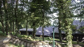 A wooden staircase leading to a building surrounded by trees. - Holiday house "Waldhaus Anne" in Niedeggen - with a view of the Rursee (Nideggen)