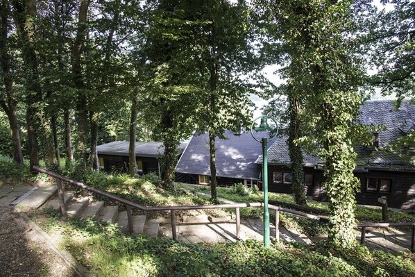 A wooden staircase leading to a building surrounded by trees.