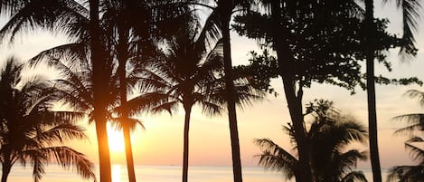Piscine extérieure, parasols de plage, chaises longues