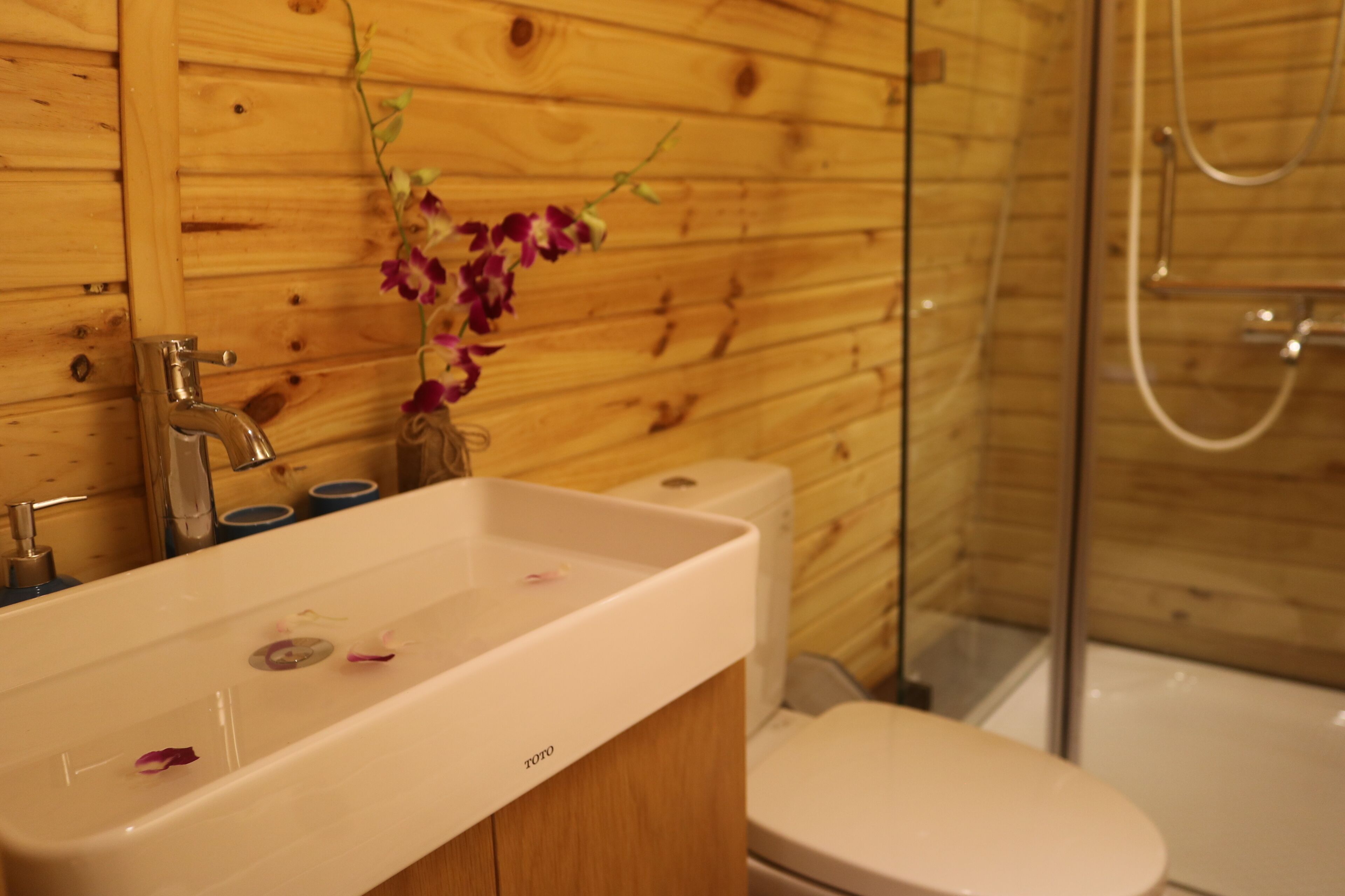 Foto - Vida Loca Sunset Beach Resort