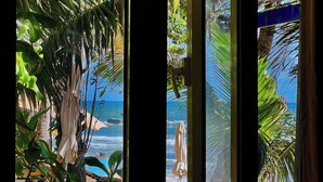 Una stanza con vista sull'oceano, una spiaggia e alcune piante tropicali.