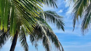 Una spiaggia con palme, un cartello, sdraio e un'area barbecue.