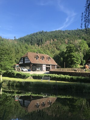 Front of property - Chambres d'Hotes Maison Efftermatten (Andlau)