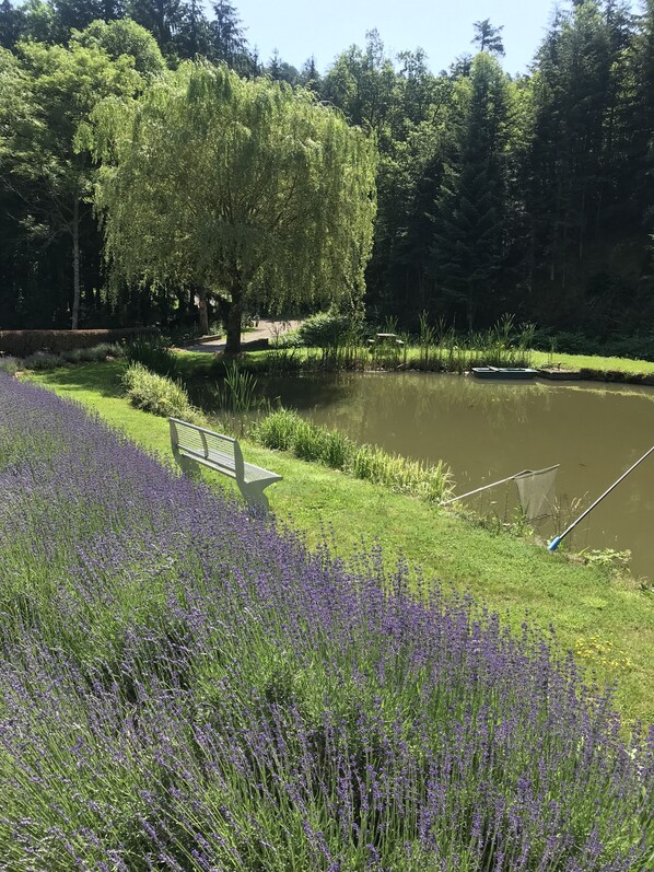 A serene park with a pond, a bench, and a row of lavender flowers. - Chambres d'Hotes Maison Efftermatten (Andlau)