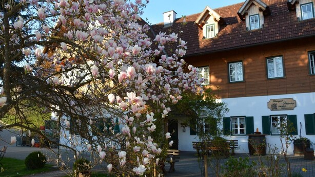 A traditional building with a wooden facade and a sign indicating it is a hotel. - Weingut Seiner vlg. Kraxner (Sankt Stefan ob Stainz)