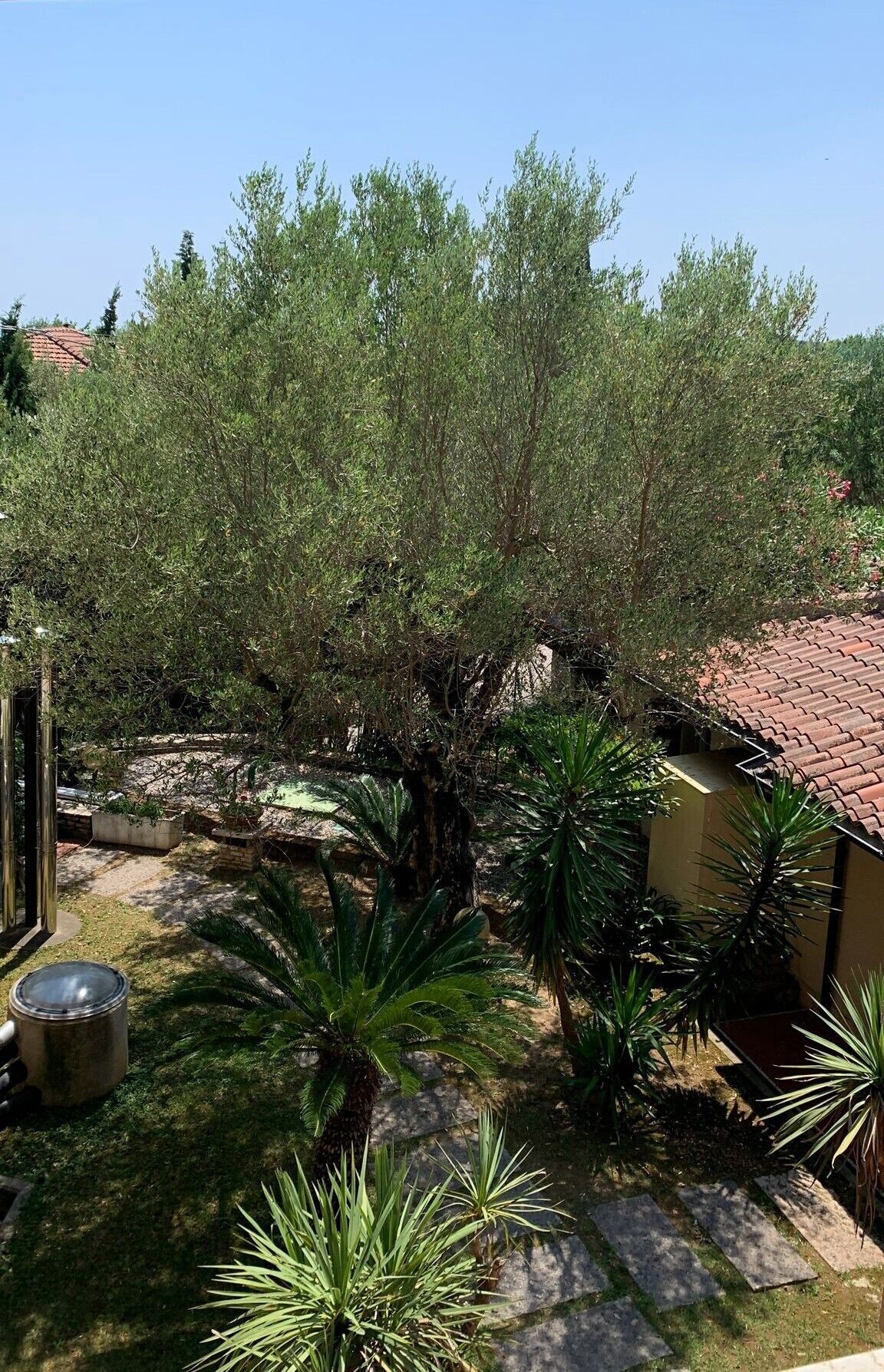 economy double or twin room, garden view (internal) | view from room