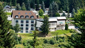 A residential area with multiple houses, including a large building with a tiled roof and several windows. - Waldhotel Feldbachtal (Neuhaus am Rennweg)