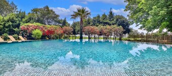 Superb Provencal farmhouse near Saint Rémy