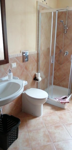 Shower, hair dryer, bidet, towels