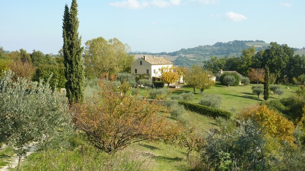 A countryside house surrounded by lush greenery and trees. - Casale Oliva in a landscape of oaks, olives and cherry trees. (Santa Vittoria In Matenano)