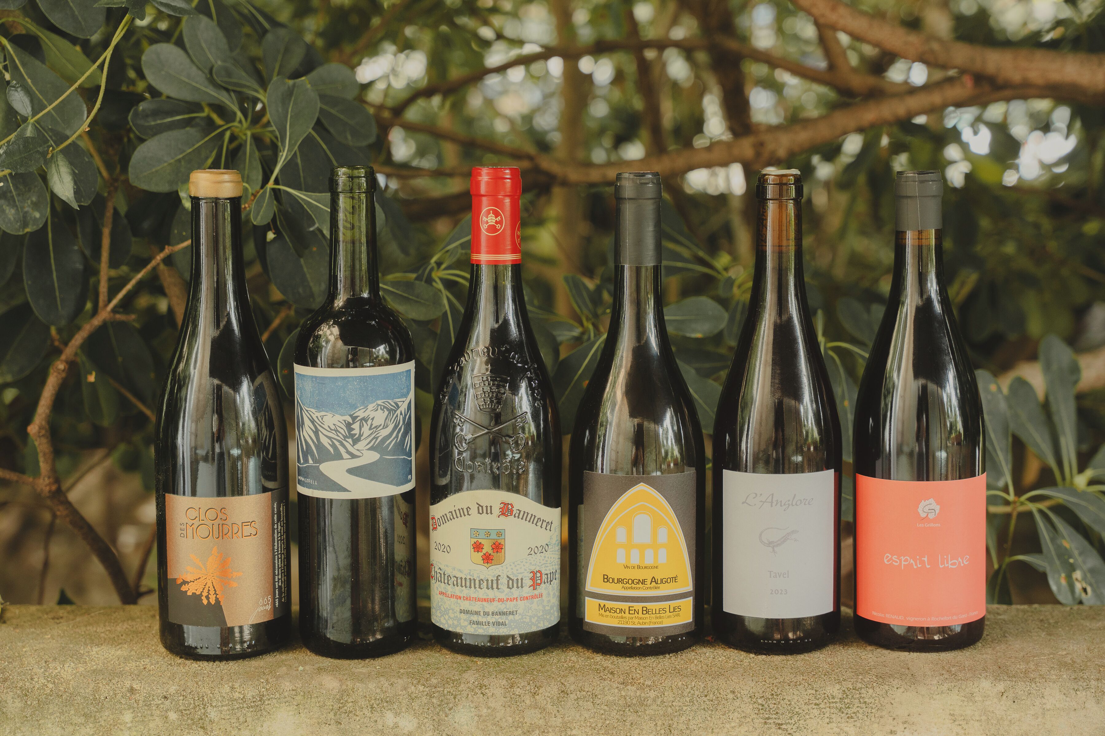 Una fila di bottiglie di vino con etichette, sullo sfondo di un paesaggio verde.