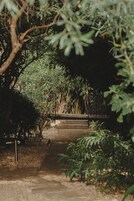 Un sendero que atraviesa un jardín con follaje denso y una estructura de concreto en el centro.