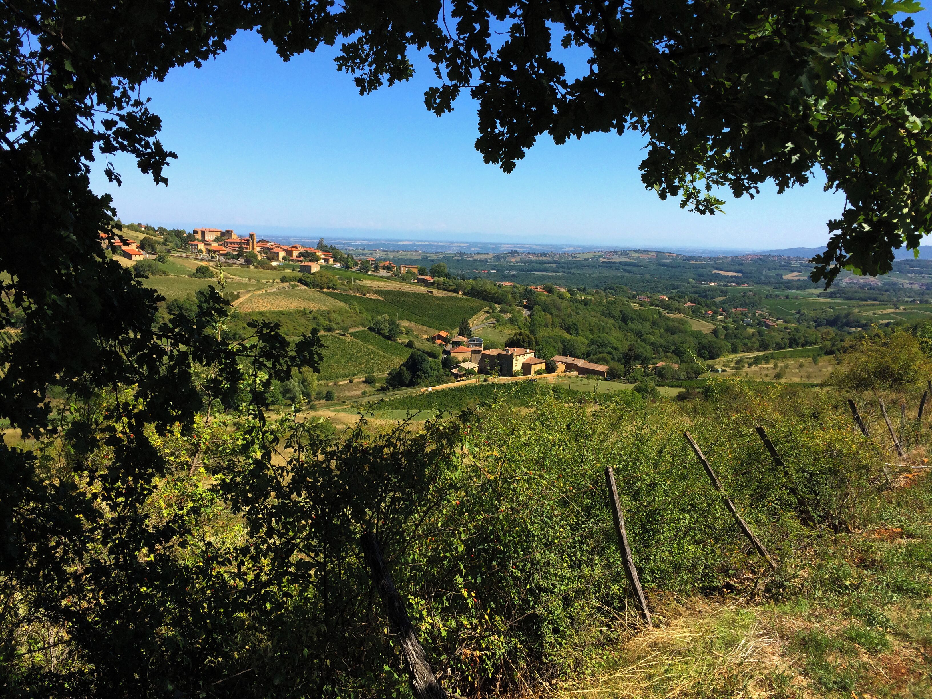 Un paysage rural caractérisé par des collines douces, des vignobles et des bâtiments dispersés.