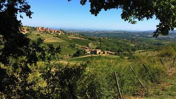 Un paysage rural caractérisé par des collines douces, des vignobles et des bâtiments dispersés.