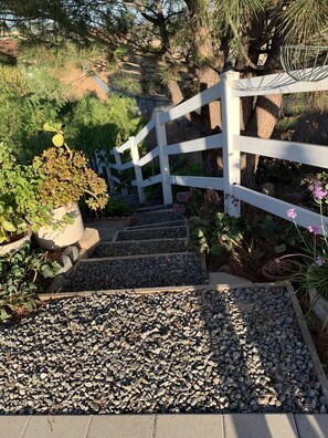 Property grounds - Olive Grove Bosquet! (Temecula)