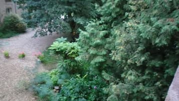 Taman