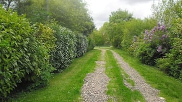 Taman