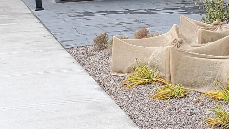 TownePlace Suites by Marriott Petawawa