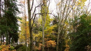 A stone staircase in a forest with autumn leaves. - Hotel Rural da Freita (Arouca)